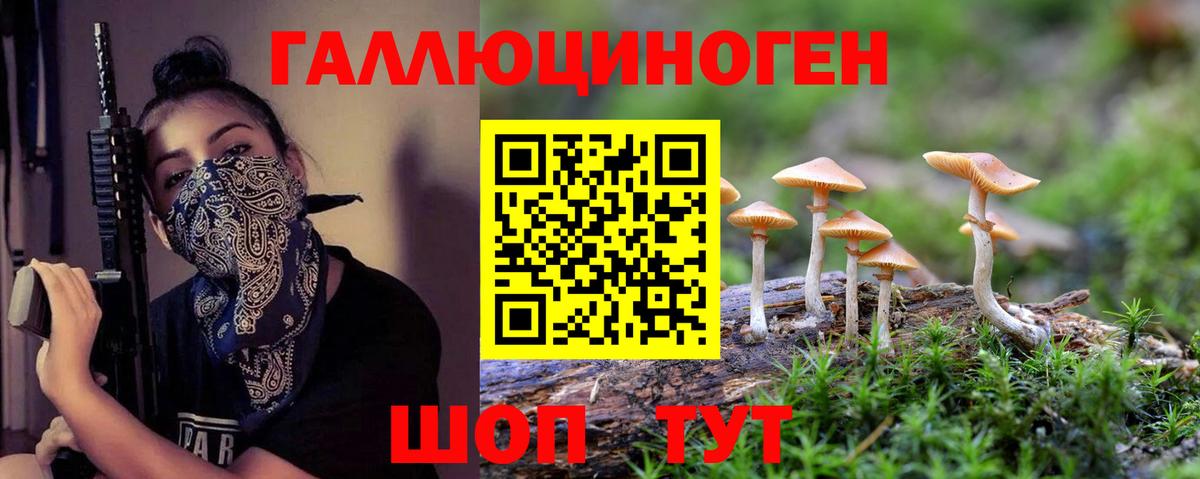Псилоцибиновые грибы прущие грибы  наркота  Верхняя Пышма  Вход с VPN 